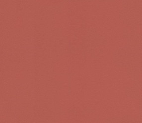 Обои Rasch Salsa 806878