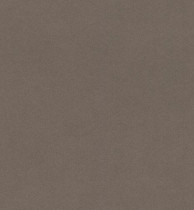 Обои Rasch Crispy Paper 527049
