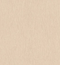Обои Rasch Etro (517538)